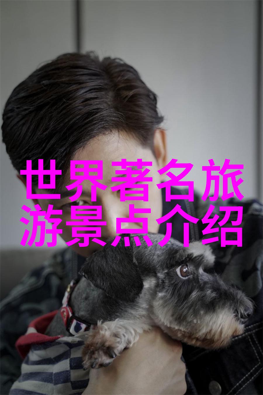 日本7月份出口环比回升4.7