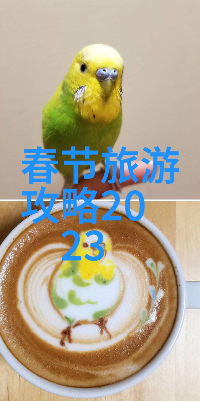 青岛旅游攻略必去景点青岛超全攻略来了